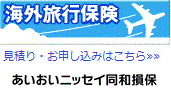 あいおいニッセイ同和損保　海外旅行保険